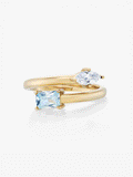 Ari Birthstone Ring